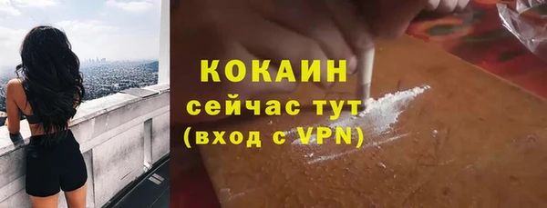 сатива Магадан