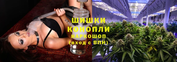 сатива Магадан