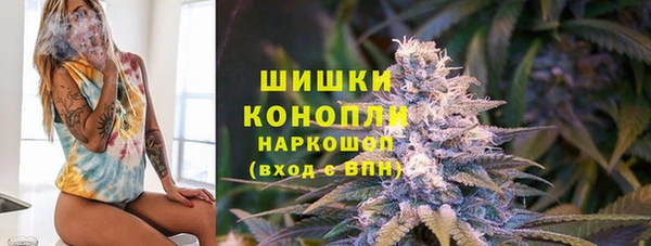 сатива Магадан