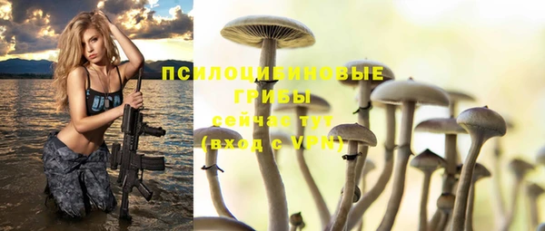 прущие крисы Магас